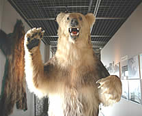 Noboribetsu Bear Park - Ezo Bear Museum