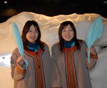 Okhotsk Ryuhyo Museum - Drift ice experience room