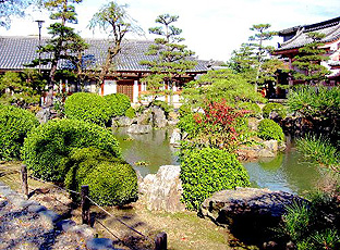 Sanjusangendo Temple - Garden