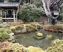 Jakkoin Temple - Belfry, pond and pine