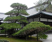 Kinkakuji Temple- Rikusho-no-Matsu