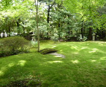 Nonomiya Shrine - The moss garden