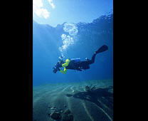 支笏湖 - 潜水活动